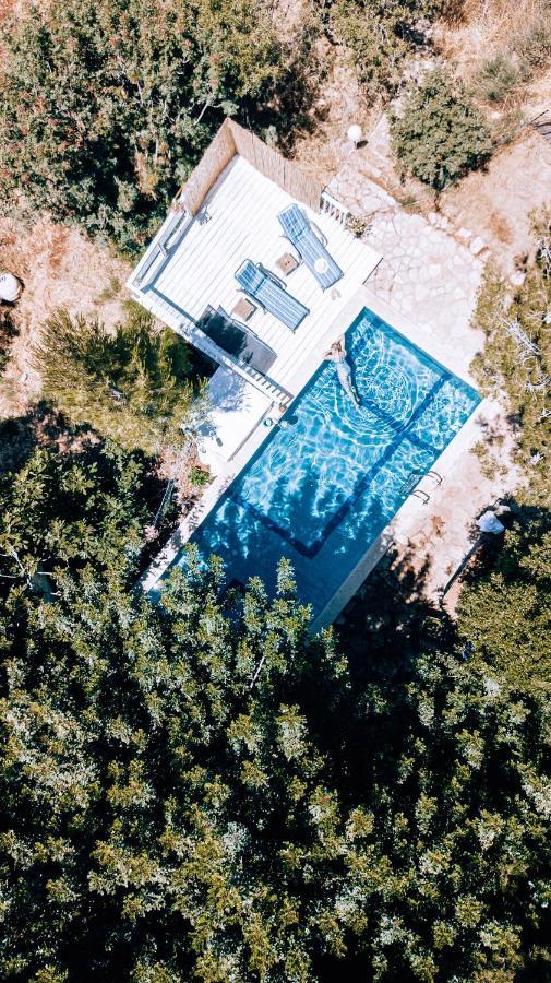 Jasmin Suite סוויטת יסמין アミリム エクステリア 写真
